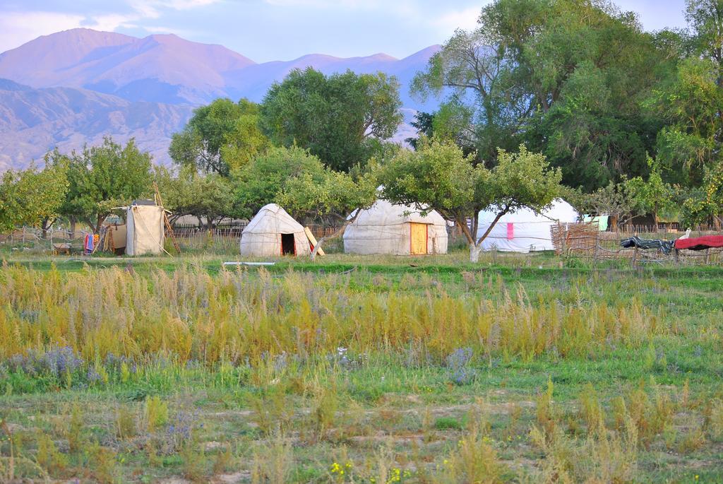 Jurten Camp Almaluu Tong Buitenkant foto