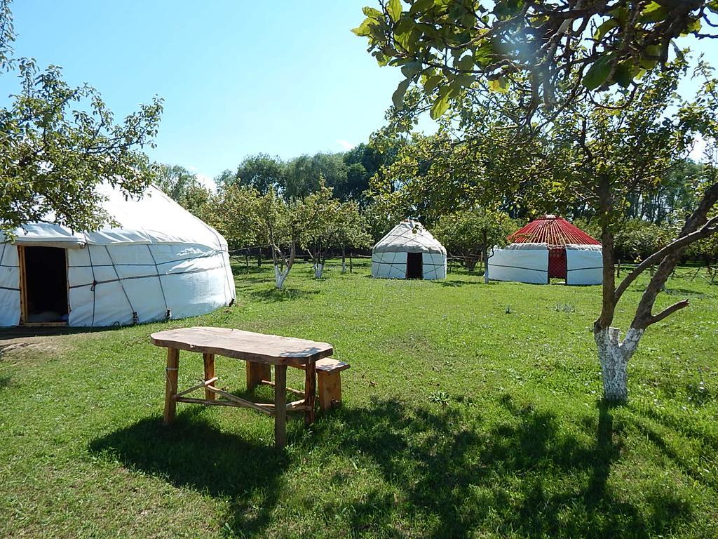 Jurten Camp Almaluu Tong Buitenkant foto